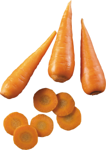 Carrot PNG image-4972